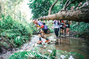 BIB: 
                            <button type="button" onclick="openModal(25476357)" class="btn btn-primary btn-sm float-right btn-popup" data-toggle="modal" data-target=".modal-high-quality">
                        <i class="fas fa-shopping-cart"></i> Add to Cart
                    </button>
                                            <button type="button" onclick="isThisMe(25476357, true)" class="btn btn-success btn-sm float-right btn-popup btn-isme hidden" data-toggle="tooltip" data-placement="bottom" title="นี่คือรูปของคุณใช่ไหม คลิกที่นี่เพื่อเอาเข้าอัลบั้ม">
                        <i class="fas fa-plus"></i> Add to album
                    </button>
                    <button type="button" onclick="isThisMe(25476357, false)" class="btn btn-warning btn-sm float-right btn-popup btn-isnotme hidden">
                        <i class="fas fa-ban"></i> Remove from album
                    </button>